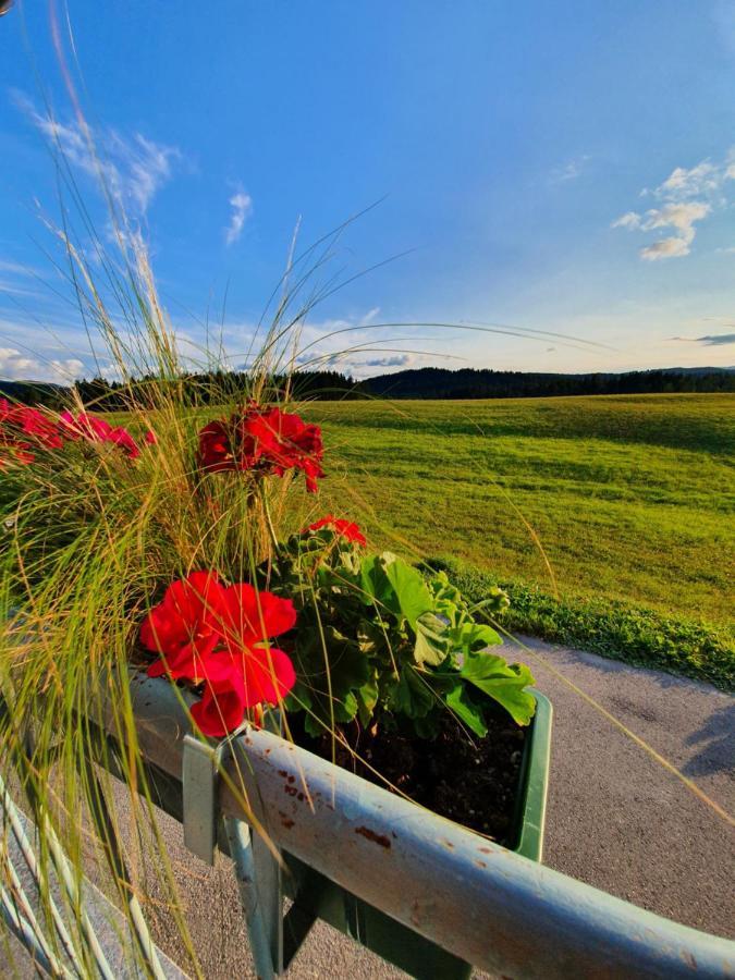 Apartma Sveti Duh Nova Vas  Zewnętrze zdjęcie