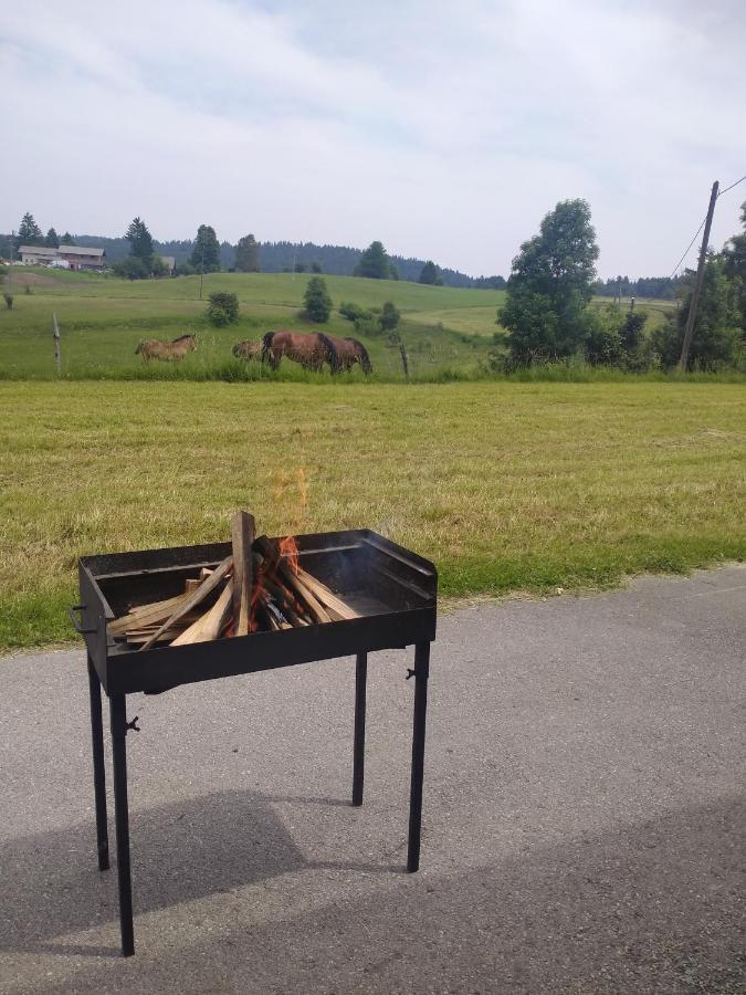 Apartma Sveti Duh Nova Vas  Zewnętrze zdjęcie