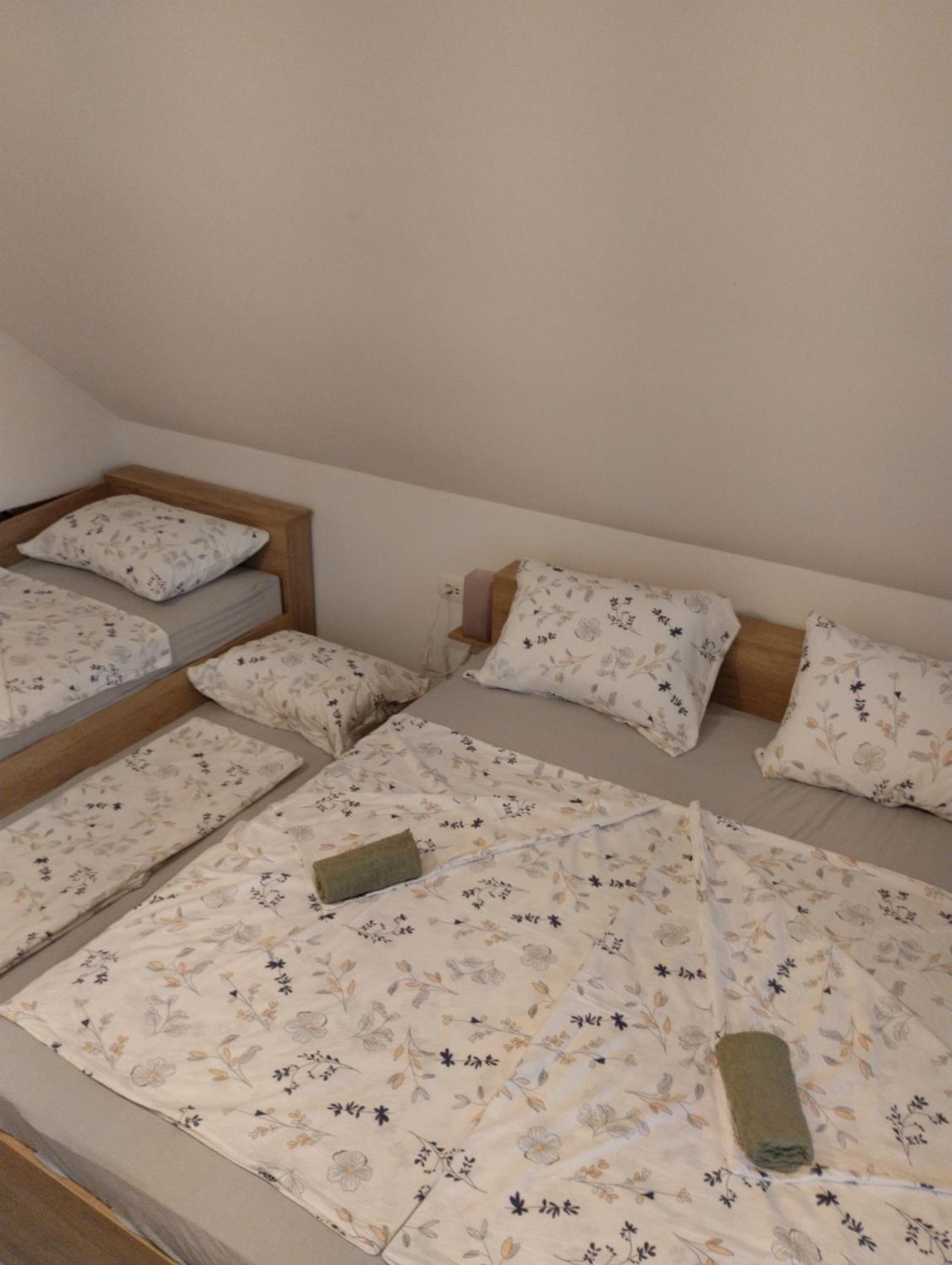 Apartma Sveti Duh Nova Vas  Zewnętrze zdjęcie